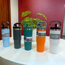 900 ML Tumbler (Sport Lid)