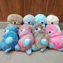 Teddy Bear (Soft Toy)